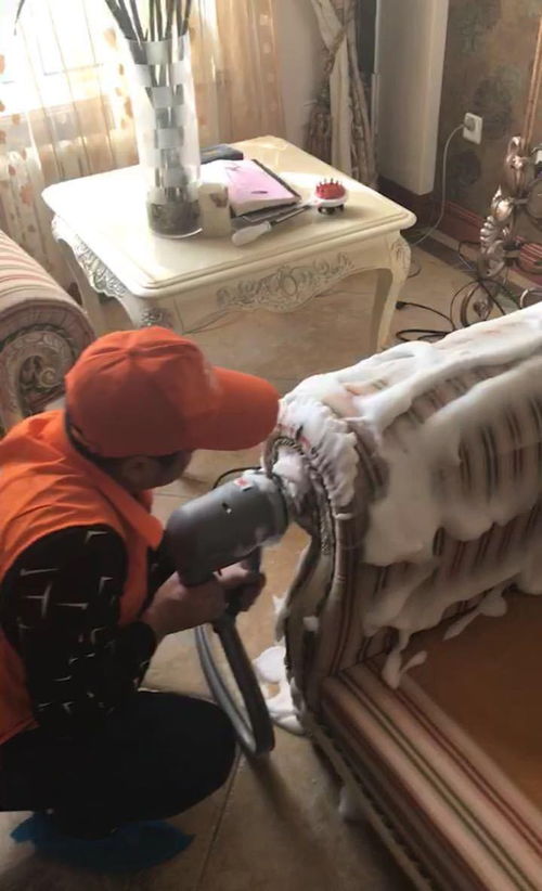 圖 西安新城專業(yè)保潔公司電話 專業(yè)清洗團(tuán)隊公司 服務(wù)踏實,真情奉獻(xiàn) 西安保潔清洗